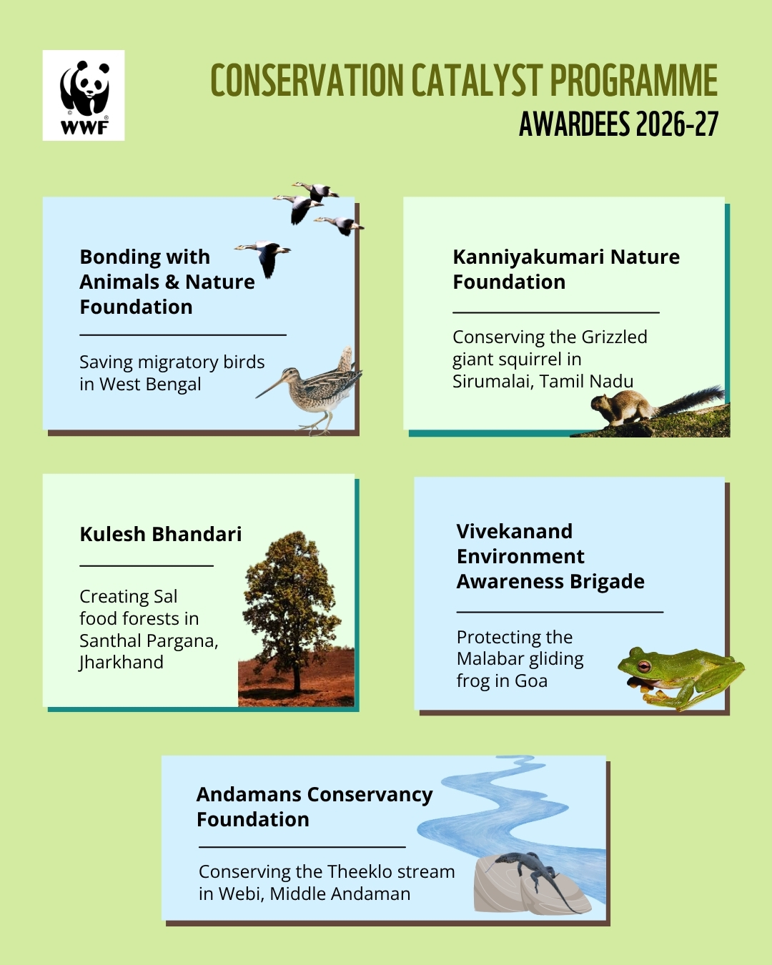 Wwf Programs Grassroots action for biodiversity: WWF-India's conservation catalyst ...
