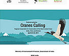 Regional cooperation for conservation of the Black‐necked Crane